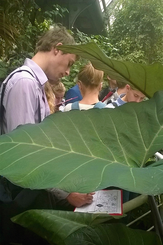 BotanickÃ¡ zahrada PÅ™F UK Praha