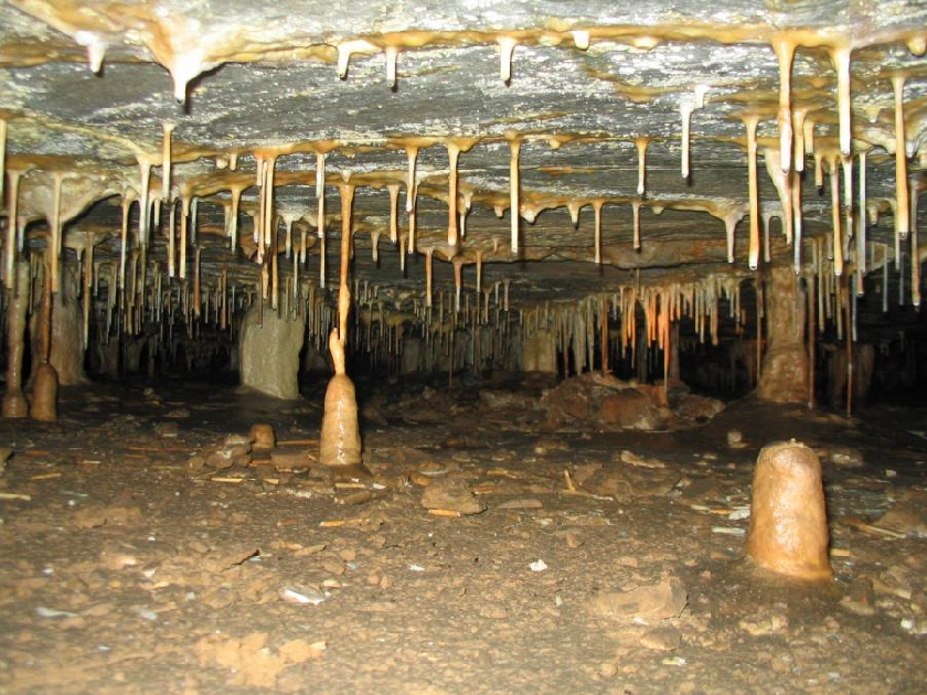 Jeskyně Holštejn - krápníková výzdoba