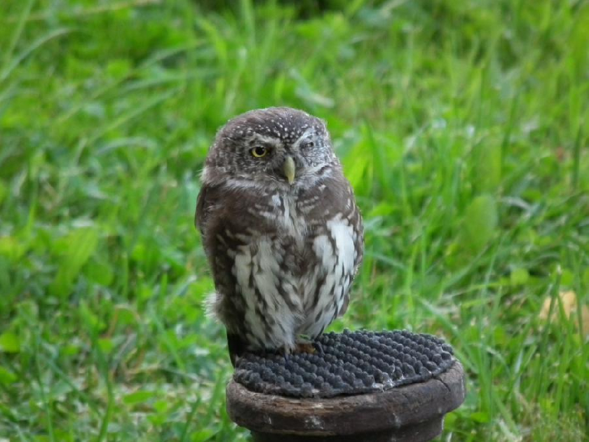 kulÃ­Å¡ek nejmenÅ¡Ã­