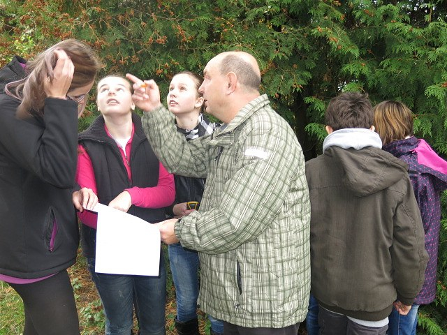 ProjektovÃ¡ vÃ½uka ZÅ  17. 10. 2013