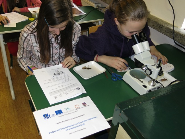 ProjektovÃ¡ vÃ½uka ZÅ  6.3.2014