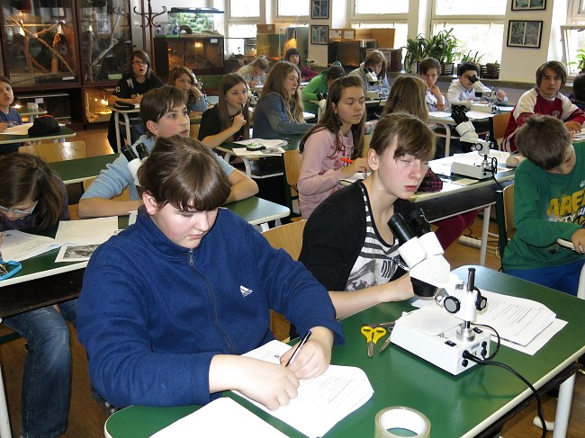 ProjektovÃ¡ vÃ½uka ZÅ  13. 3. 2014
