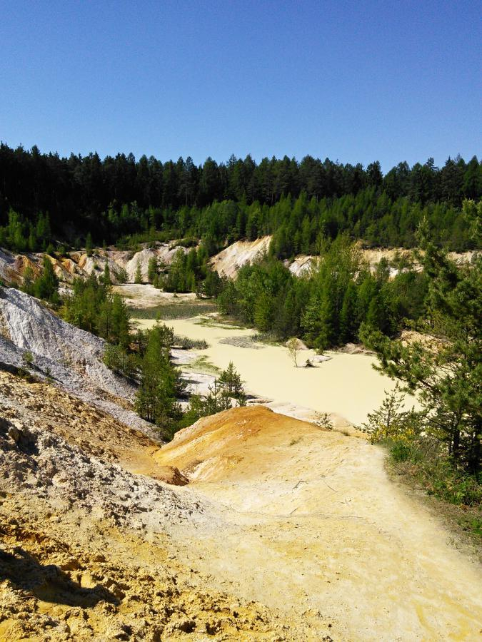 Terénní exkurze - žáci ZŠ a MŠ Sokolovská Svitavy - Kaprálův mlýn (05-2014)