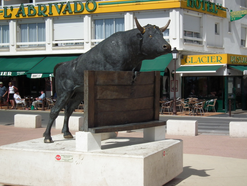 ÄŒernÃ­ bÃ½ci jsou chovanÃ­ v Camargue pro zÃ¡pasy a pÅ™edstavenÃ­ v arÃ©nÃ¡ch.