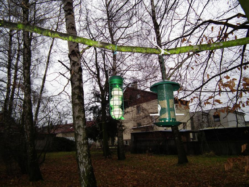 ObÄ› krmÃ­tka jsou pÅ™ipravena na nÃ¡por ptaÄÃ­ch strÃ¡vnÃ­kÅ¯.