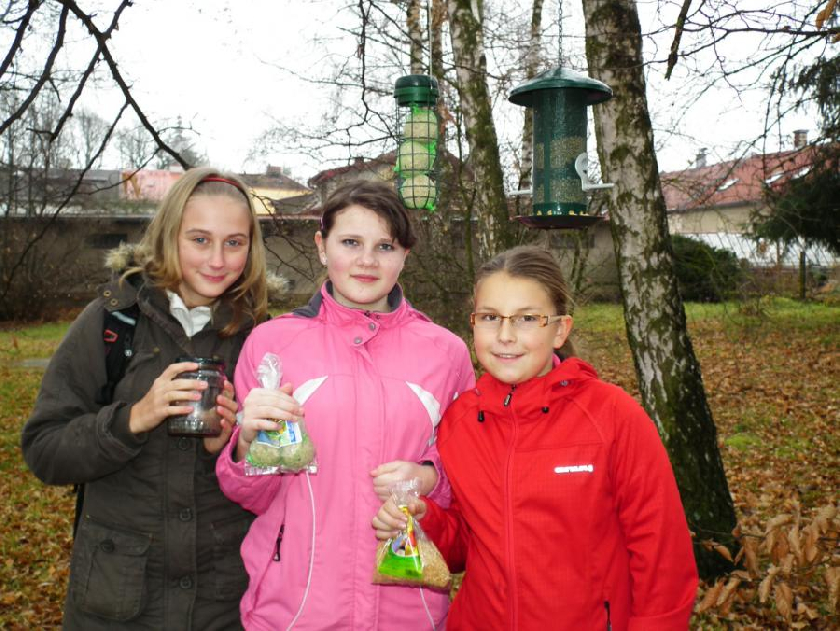 Andrea, KlÃ¡ra a Eva u krmÃ­tek na Å¡kolnÃ­m pozemku.