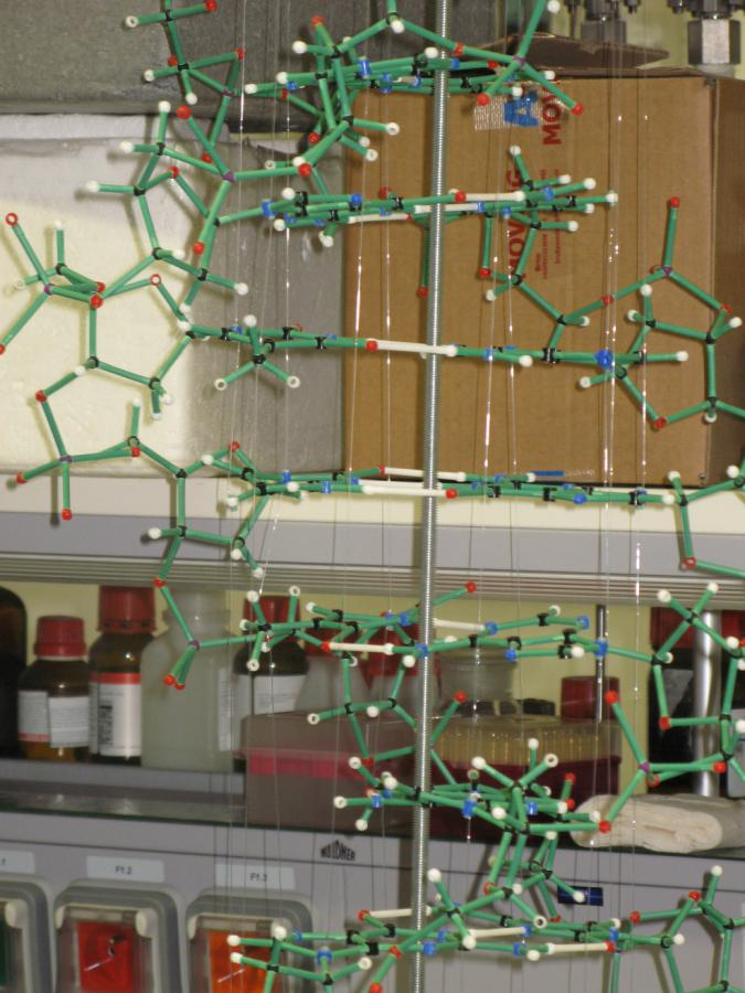 Obdivujeme model struktury DNA.