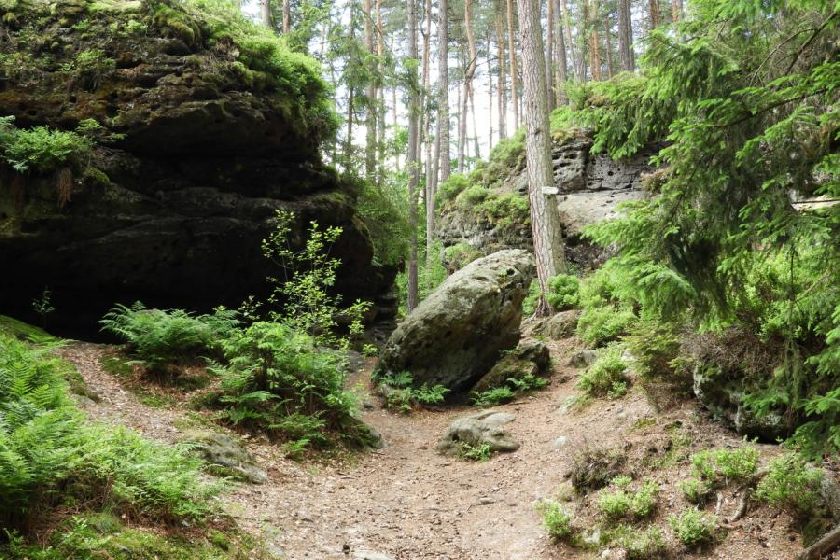 PÅ™Ã­roda rezervace MaÅ¡tale in natura.