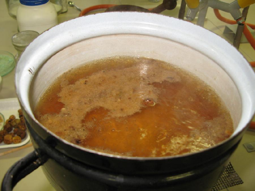 VÃ½taÅ¾ky z dubÄ›nek se vyvaÅ™ujÃ­ nÄ›kolik desÃ­tek minut.