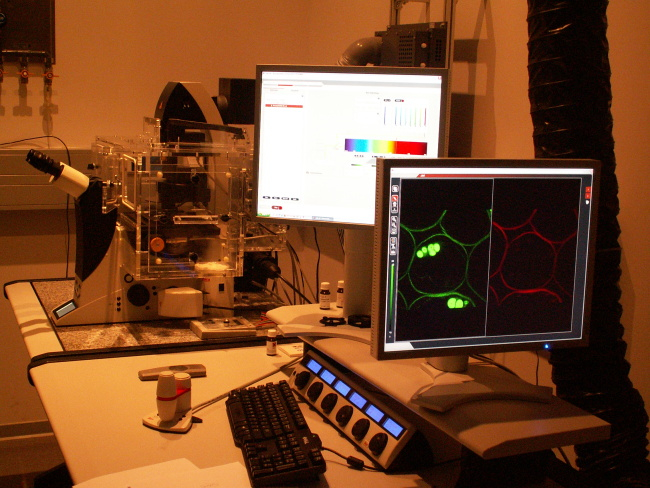 Ãšstav molekulÃ¡rnÃ­ genetiky 2009. Technika pro fluorescenÄnÃ­ mikroskopovÃ¡nÃ­.