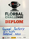 Florbalisti tÅ™etÃ­ v okrese