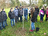 Strom pro tÅ™Ã­du 2013