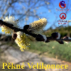 VelikonoÄnÃ­ prÃ¡zdniny a Velikonoce